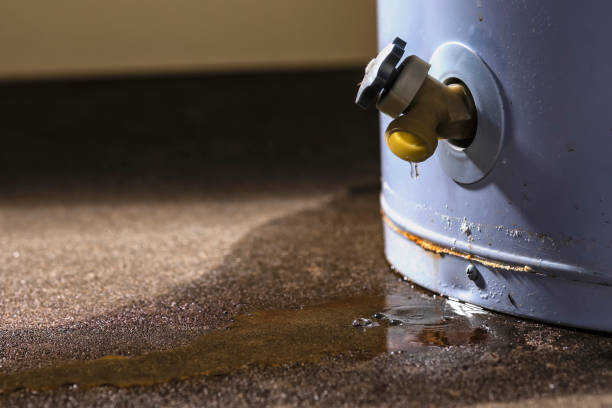 Best Ceiling water damage repair  in Swift Trail Junction, AZ