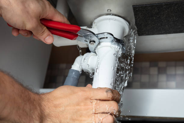 Best Sewage cleanup and water damage restoration  in Swift Trail Junction, AZ