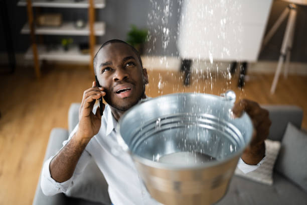 Best Mold removal after water damage  in Swift Trail Junction, AZ