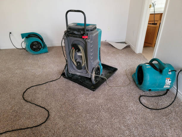 Best Water damage cleanup near me  in Swift Trail Junction, AZ