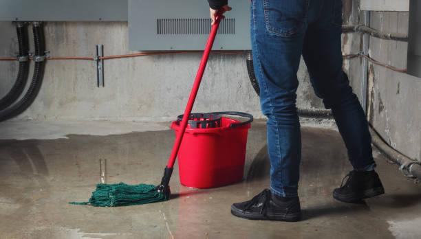 Best Local water damage restoration  in Swift Trail Junction, AZ