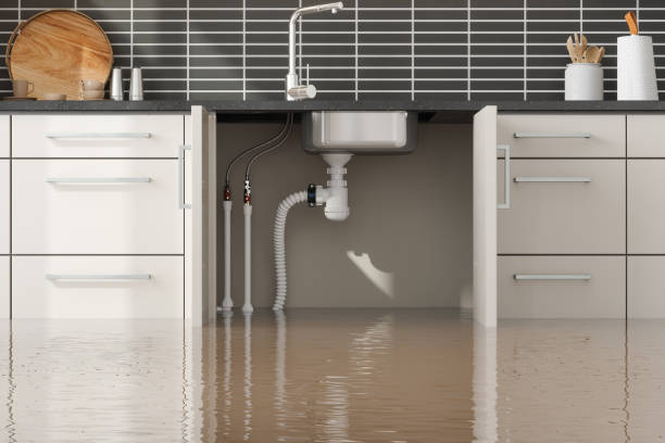 Best Commercial water damage restoration  in Swift Trail Junction, AZ