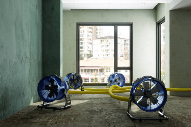 Best Water damage restoration services  in Swift Trail Junction, AZ